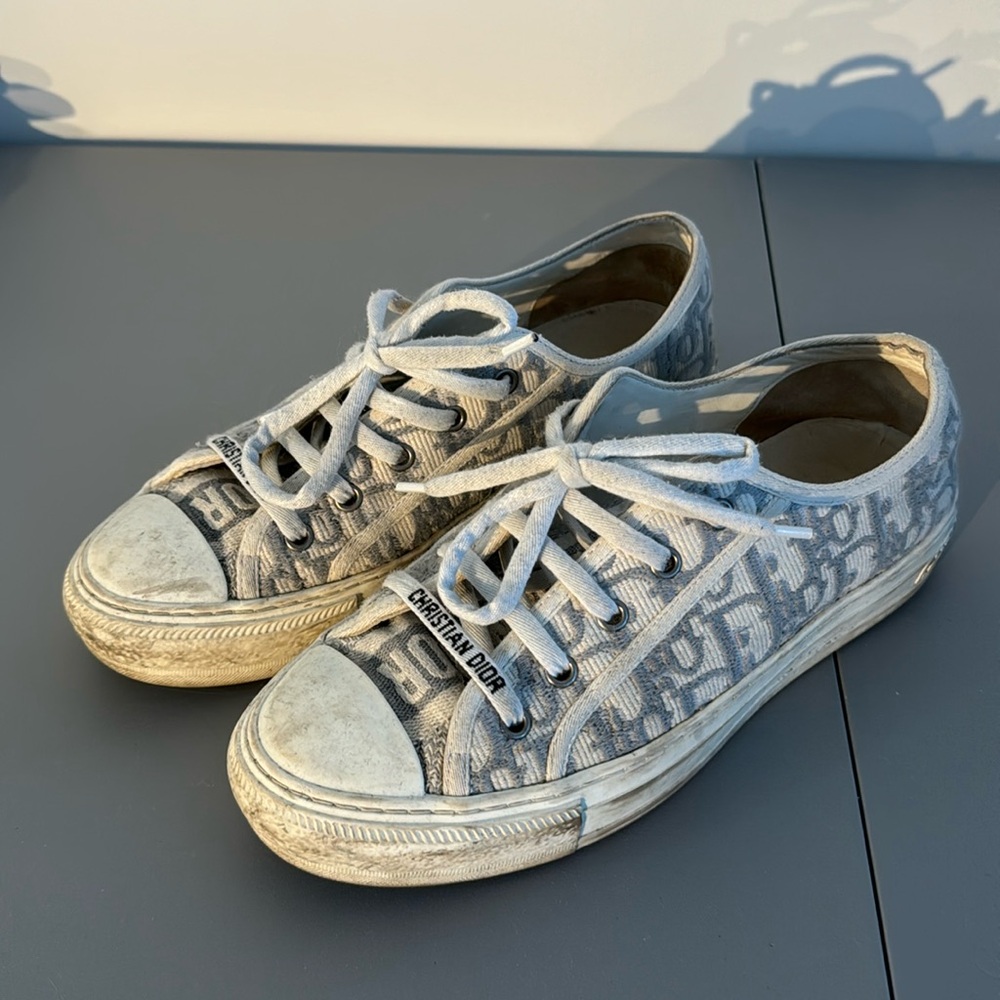 Dior Gray Sneakers